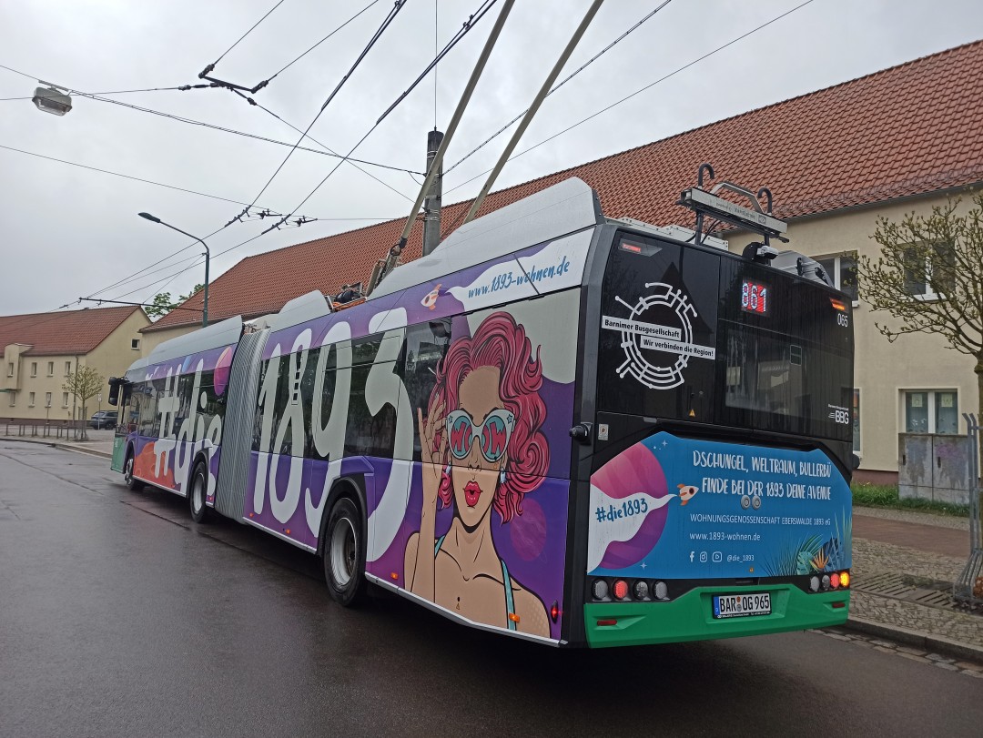Gelenkobus Nr. 065 vom polnischen Typ Solaris Trollino 18 Kiepe IMC